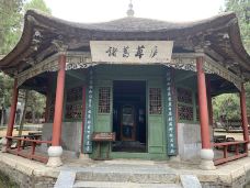 卧龙岗-南阳-当地向导逍遥遊