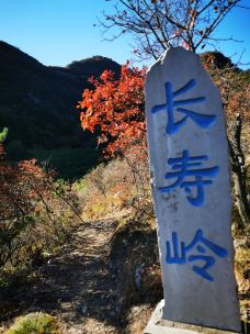 仙台山-井陉-珍珍是我