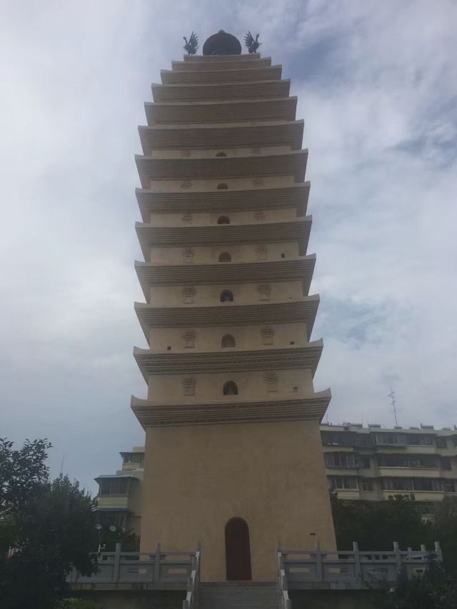 东寺塔茶花园旅行图片 2