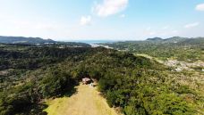 八重岳樱之森公园-本部町-翱翔的大鲨鱼