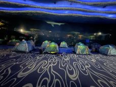 珠海长隆海洋王国·鲸鲨馆-珠海-兔酱不乖