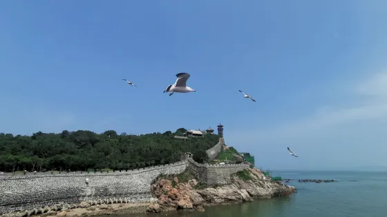 蓬萊水城
