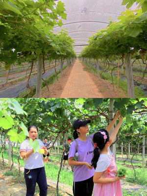 打开夏日旅行的新方式！水果采摘