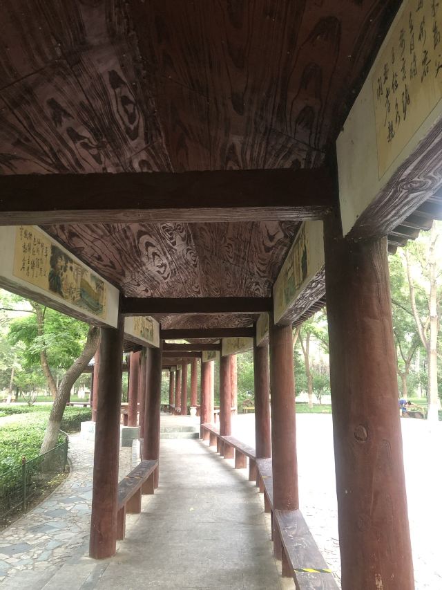 兴隆公园旅行图片 6