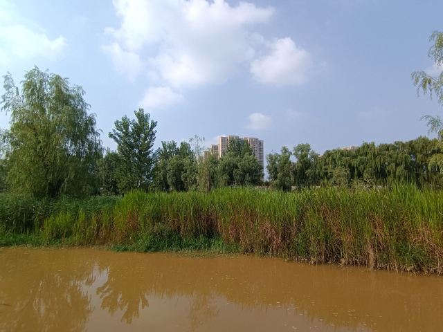 长安城市公园(樊川公园)旅行图片 3
