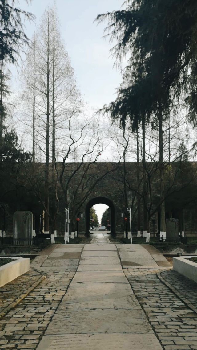 午朝门公园旅行图片 1