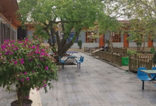 黄河美食园美食图片