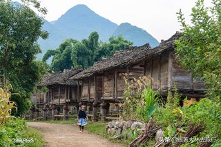 到荔波小七孔？推荐先住在这个古寨，联合国都点赞！