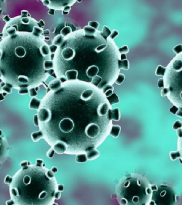 黑山头镇游记图文-中秋 骑马之旅（一、前奏）