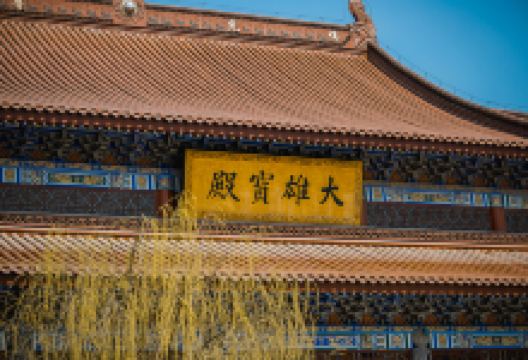 齐河定慧寺景点图片