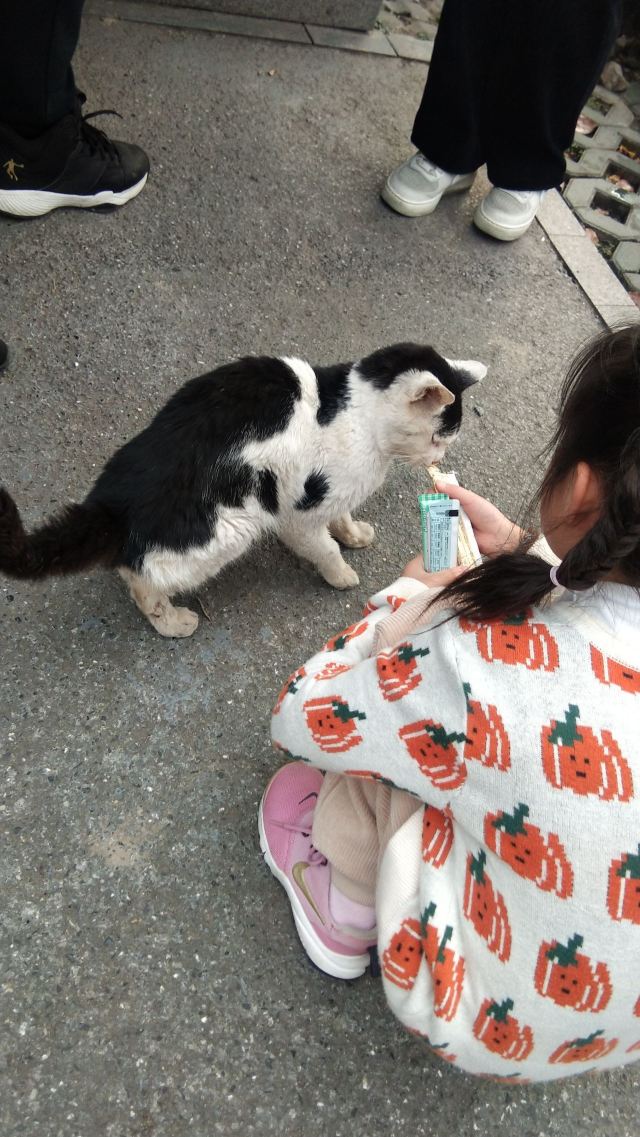 曲阳公园旅行图片 2