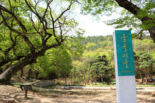 犹如一场时间旅行,在大邱漆溪村享受宁静的下午