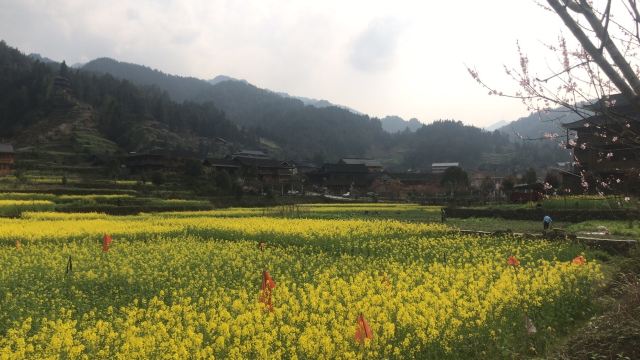 新化古桃花源旅行图片 8