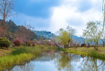 总统府+大报恩寺+牛首山+外秦淮河游船（新线总报船牛）【[外秦淮河游船]（约45分钟）】