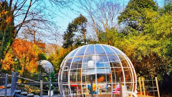龍蒼溝山地運動公園