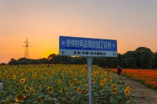 苏州中国花卉植物园-苏州-C-IMAGE