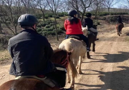 汤山竹野丛林ATV越野野骑基地