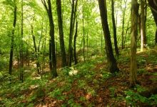 Kettle Moraine Red Oaks State Natural Area景点图片