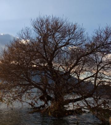 双廊风景区游记图文-双廊的星空 洱海的漫时光~