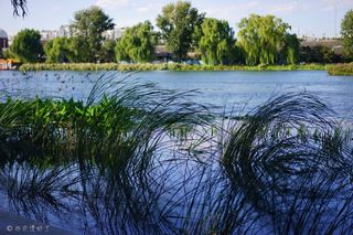 隐藏在什刹海旁的胡同民宿,让城市旅行变得如此简单