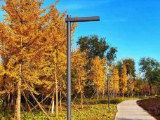 北京园博园-北京-YoYo_7H3C9U2Z