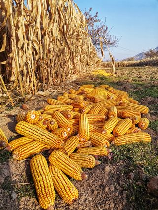 立冬之下的美丽小山村——甘肃省东乡族自治县唐汪川