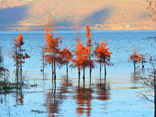 走“无法预测艰险”路，看“绚丽多彩难忘”景（三）  滇西北十日游
