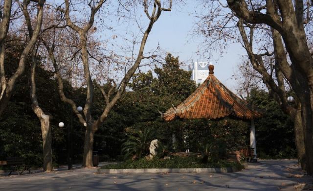 襄阳公园旅行图片 1