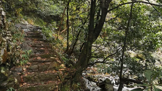 柏梘山