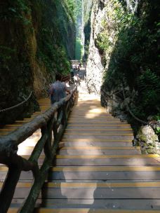 慈利-YoYo_7Q9Y6S8B