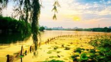 大明湖景区-济南-麦穗子