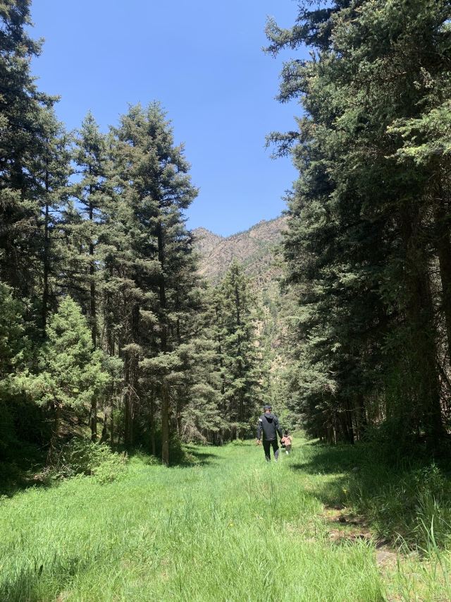 呼市回民区防风林公园旅行图片 5