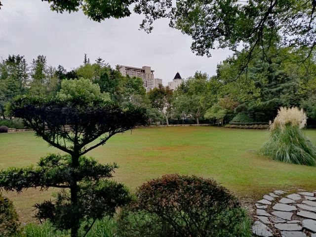 天山公园旅行图片 3