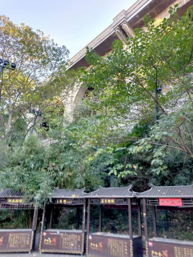 汉阳门花园旅行图片 12