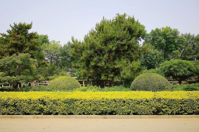 石景山古城公园旅行图片 15
