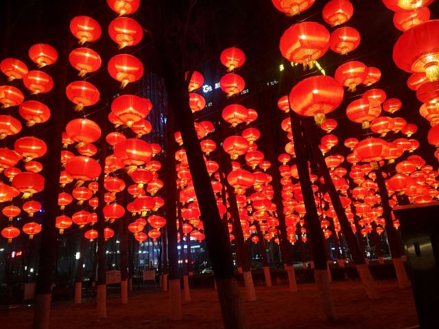 唐岛湾滨海公园-观景台旅行图片 1