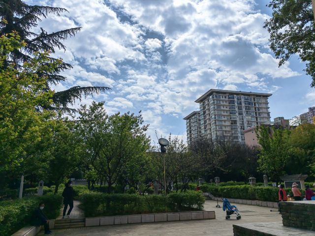 惠光寺塔旅行图片 3