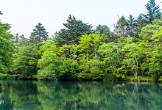 云场池景点图片