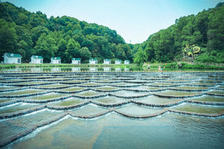 南昌周边游|永修周末度假,保姆级攻略赶紧收好!