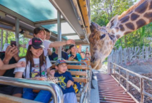 清迈夜间野生动物园景点图片