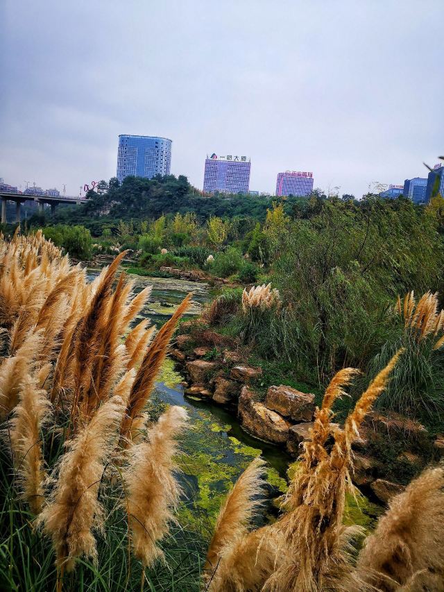 贵阳市森林公园旅行图片 3