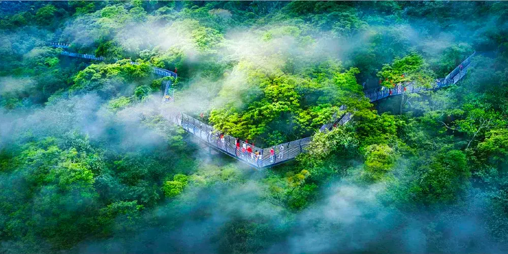 永安旅遊