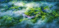 海南百花岭热带雨林文化旅游区-琼中-C-IMAGE