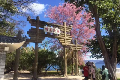 明星鱼洞