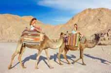 Camel Ranch Eilat-埃拉特