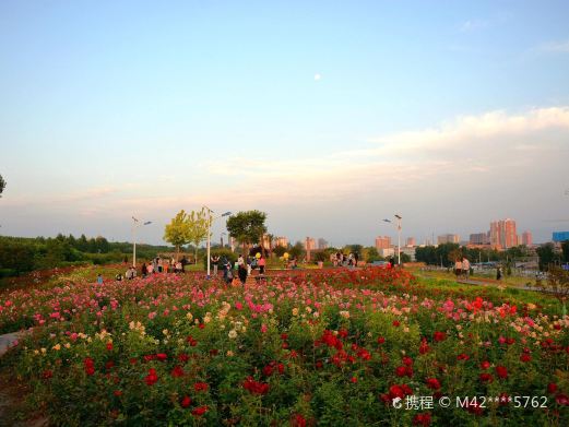 莽山公园(兴平市东城街道莽山路)