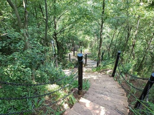 通城县锡山森林公园