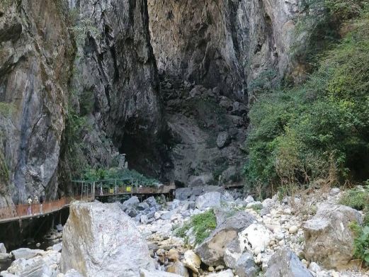 红茶沟森林公园