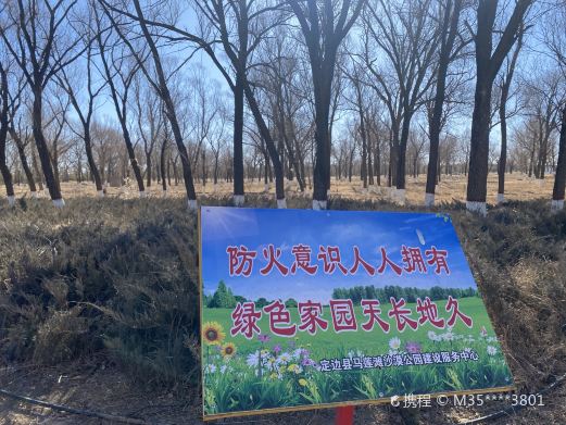 马莲滩沙漠公园