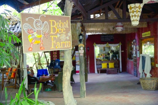蜜蜂农场餐厅图片